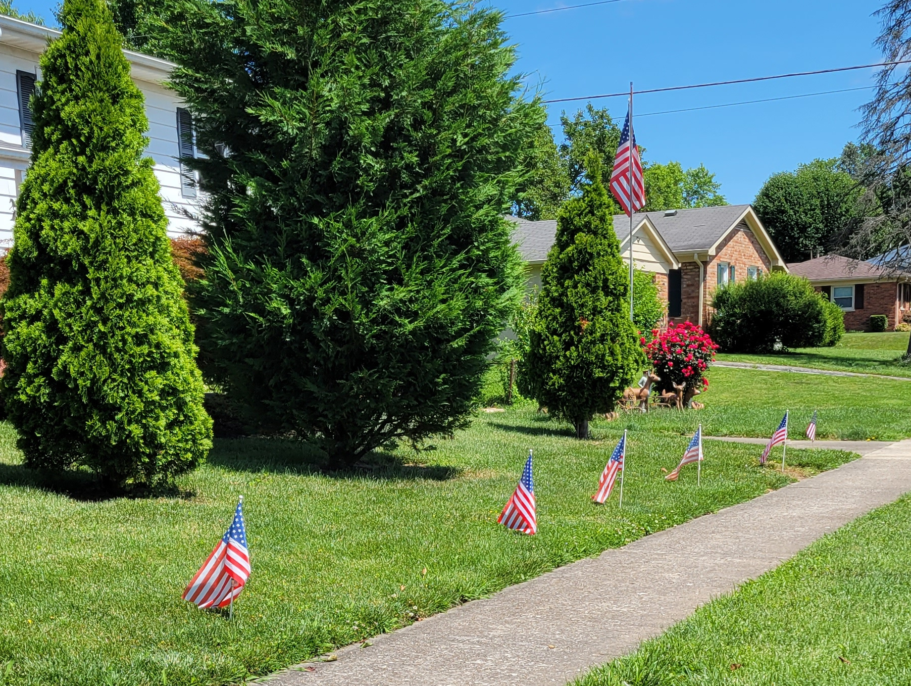 Flag Front Yard